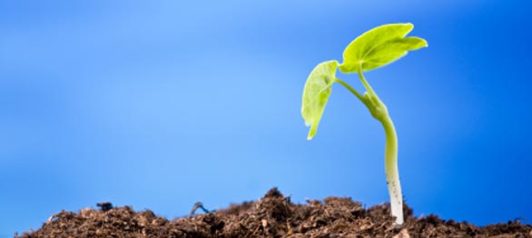 What Are Growth Points?