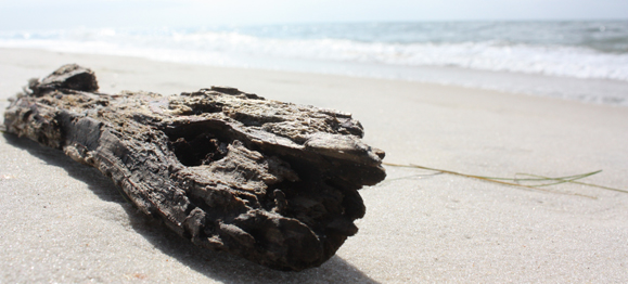 Overcoming the Natural Drift toward Apathy
