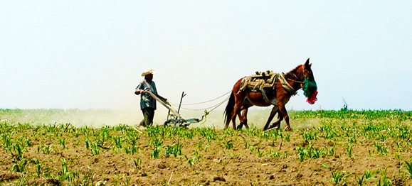 When Your Hand Is to the Plow…