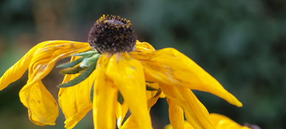 7 Early Symptoms of Spiritual Apathy