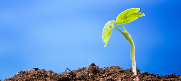 The Ministry Multiplier You Forgot